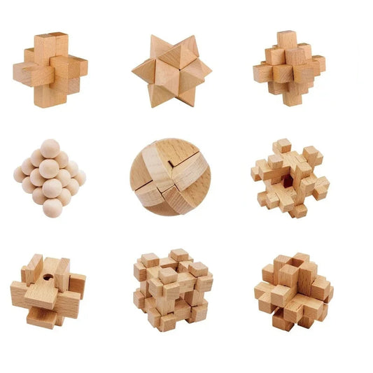 Coffret de 9 Casse-Têtes en Bois Premium